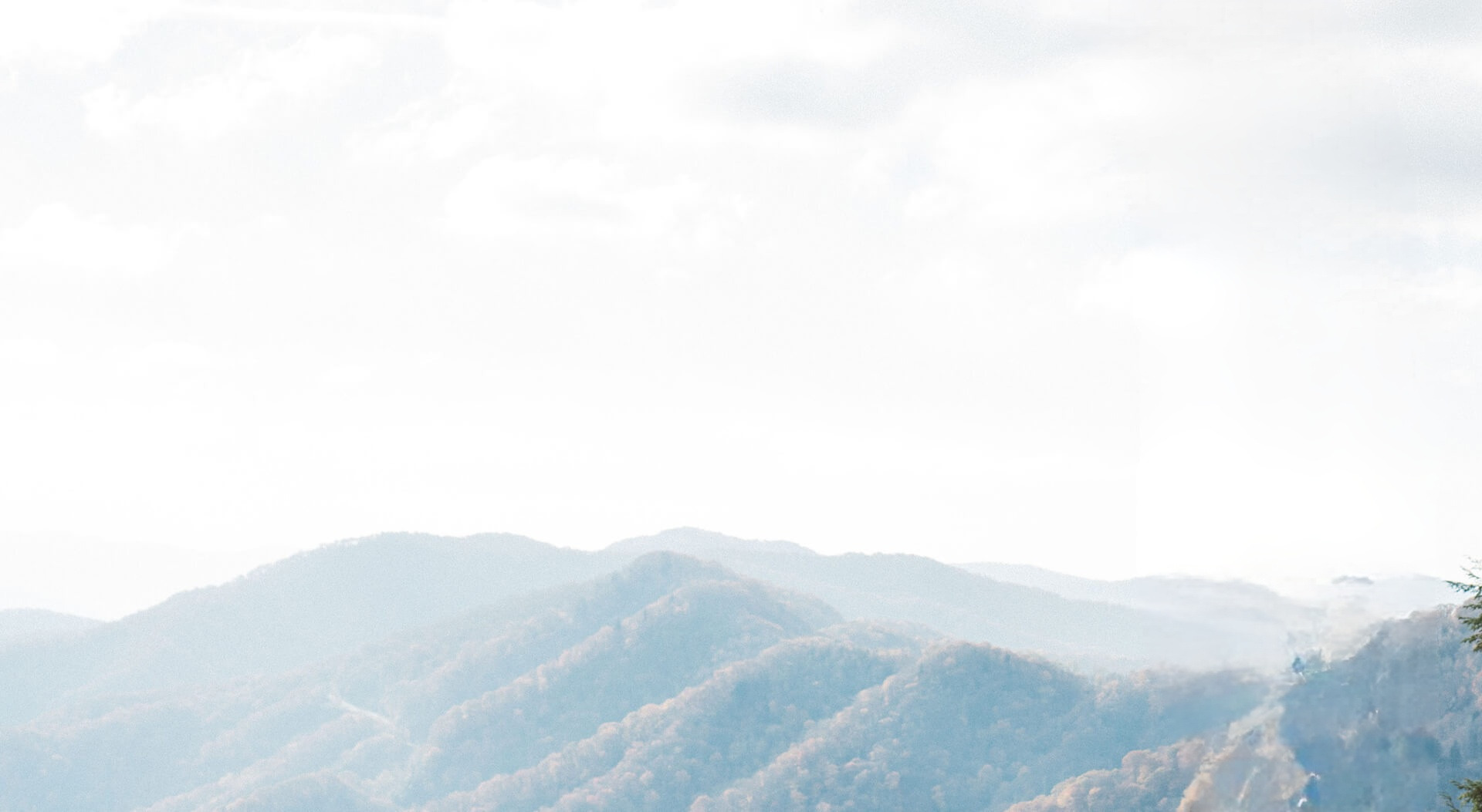Background Header